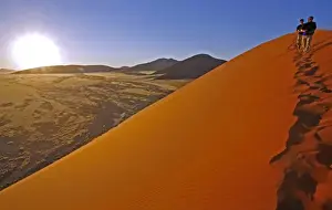 Sossusvlei Prints: Africa, Namibia. Namib Desert. Dune 45 in the Namib-Nauklift Desert. These are the highest