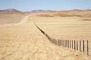 Images Dated 28th August 2014: Africa, Namibia, Namib Desert. Long road and fence in desert