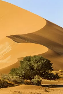 Namibia Collection: Africa, Namibia, Namib Desert, Namib-Naukluft National Park, Sossusvlei