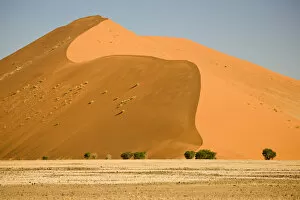 Namibia Gallery: Africa, Namibia, Namib Desert, Namib-Naukluft National Park, Sossusvlei