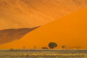 Namibia Gallery: Africa, Namibia, Namib Desert, Namib-Naukluft National Park, Sossusvlei