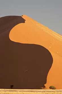 Namibia Collection: Africa, Namibia, Namib Desert, Namib-Naukluft National Park, Sossusvlei