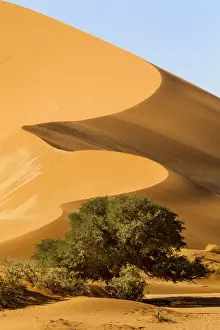 Namibia Prints: Africa, Namibia, Namib Desert, Namib-Naukluft National Park, Sossusvlei