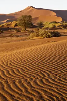 Namibia Prints: Africa, Namibia, Namib Desert, Namib-Naukluft National Park, Sossusvlei