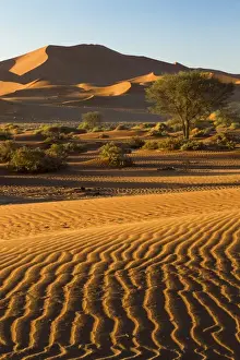 Namibia Prints: Africa, Namibia, Namib Desert, Namib-Naukluft National Park, Sossusvlei