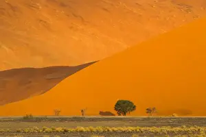 Namibia Prints: Africa, Namibia, Namib Desert, Namib-Naukluft National Park, Sossusvlei