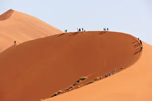 Namibia Prints: Africa; Namibia; Namib Desert, Namib-Naukluft National Park; Sossusvlei, Elim Dune