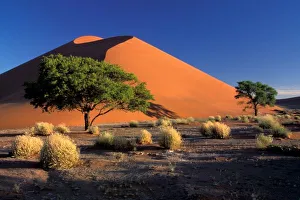 Namibnaukluft Park Prints: Africa, Namibia, Namib-Naukluff Park, Sossosvlei dunes