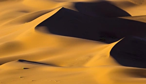 Images Dated 4th April 2014: Africa, Namibia, Namib-Naukluft National Park