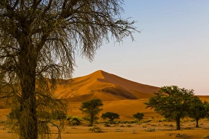 Africa, Namibia, Namib-Naukluft National Park