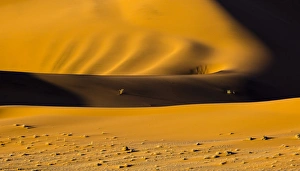 Images Dated 4th April 2014: Africa, Namibia, Namib-Naukluft National Park