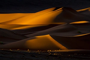 Africa, Namibia, Namib-Naukluft National Park