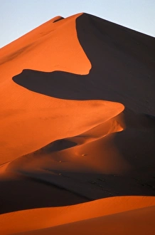 Africa, Namibia, Namib Naukluft National Park, Morning sun lights sand dunes in Namib