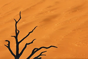 Images Dated 27th August 2014: Africa, Namibia, Namib-Naukluft Park