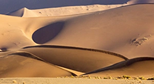 Images Dated 27th August 2014: Africa, Namibia, Namib-Naukluft Park. Abstract of side-lit sand dunes. Credit as