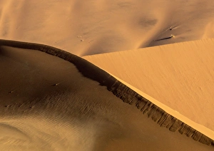 Images Dated 27th August 2014: Africa, Namibia, Namib-Naukluft Park. Abstract of side-lit sand dunes. Credit as