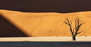 Dead Prints: Africa, Namibia, Namib-Naukluft Park