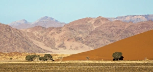 Images Dated 26th August 2014: Africa, Namibia, Namib-Naukluft Park. Sand dune and contrasting mountains. Credit as