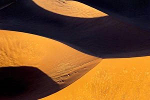 Images Dated 20th September 2013: Africa, Namibia, Namib-Naukluft Park. Abstract aerial image of sand dunes. Credit as