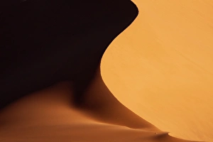 Images Dated 9th September 2009: Africa, Namibia, Namib-Naukluft Park. Red sand dune abstract