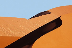 Images Dated 9th September 2009: Africa, Namibia, Namib-Naukluft Park. Red sand dune abstract