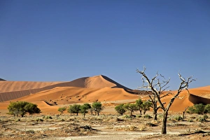 Terrain Prints: Africa, Namibia, Sossusvlei