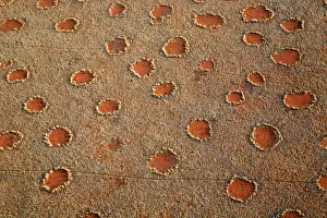 Africa, Namibia, Sossusvlei. Aerial view of fairy circles dotting the landscape of