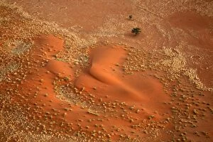 Images Dated 17th August 2008: Africa, Namibia, Sossusvlei. Aerial view of red dunes, grasses, fairy circles