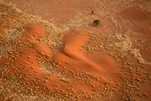 Sossussvlei Prints: Africa, Namibia, Sossusvlei. Aerial view of red dunes, grasses, fairy circles