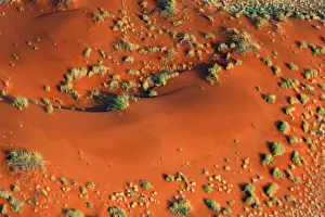Africa, Namibia, Sossusvlei. Aerial view of red dunes and grasses of the NamibRand