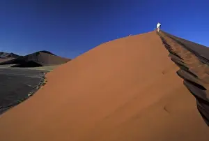 Ascending Prints: Africa, Namibia, Sossusvlei. Climbers ascending giant red dune