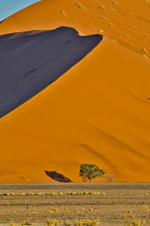 Images Dated 1st July 2017: Africa, Namibia, Sossusvlei. Dune in the afternoon