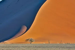 Barren Prints: Africa, Namibia, Sossusvlei. Dune in the afternoon
