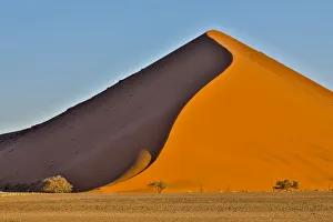 Barren Prints: Africa, Namibia, Sossusvlei Dune in the Afternoon Light