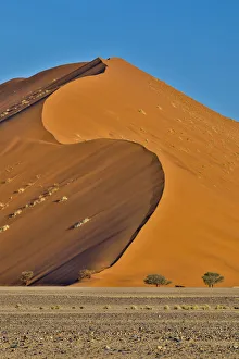 Barren Prints: Africa, Namibia, Sossusvlei. Dunes in the afternoon