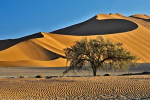 Africa, Namibia, Sossusvlei Dunes in the Morning Light