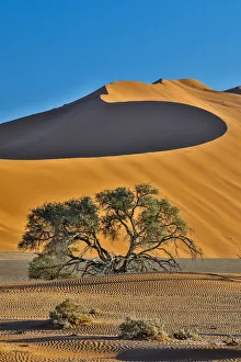 Daylight Prints: Africa, Namibia, Sossusvlei Dunes in the Morning Light