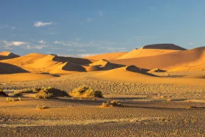 Images Dated 2nd July 2017: Africa, Namibia, Sossusvlei Dunes in the Morning Light