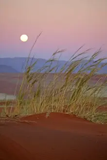 Foothill Prints: Africa, Namibia, Sossusvlei. The full moon rises over the NamibRand Nature Reserve in Sossusvlei
