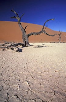 Images Dated 5th August 2010: Africa, Namibia, Sossusvlei Region. Sand dunes