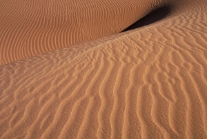 Images Dated 5th August 2010: Africa, Namibia, Sossusvlei Region. Sand dunes