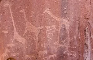 Namibia Gallery: Africa, Namibia, Twyfwlfontein. Ancient rock art at Twyfelfontein Country Lodge