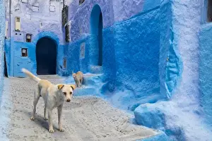 Images Dated 25th April 2015: Africa, North Africa, Morocco, Chefchaouen or Chaouen is the chief town of the province