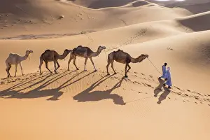 Leading Prints: Africa, North Africa, Morocco, Erg Chegaga (or Chigaga) is a Saharan sand dune (approximately)