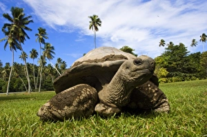 Images Dated 2nd July 2006: Africa, Seychelles