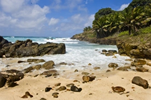 Images Dated 2nd July 2006: Africa, Seychelles