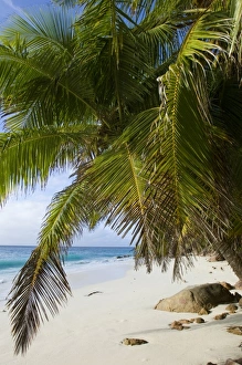 Images Dated 1st July 2006: Africa, Seychelles