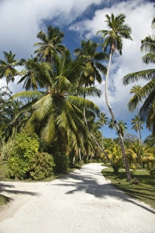 Images Dated 28th December 2010: Africa, Seychelles