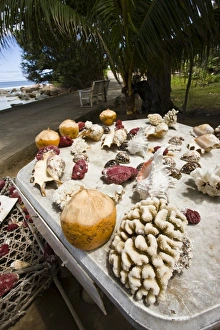 Images Dated 28th October 2008: Africa, Seychelles