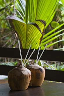 Images Dated 29th October 2008: Africa, Seychelles